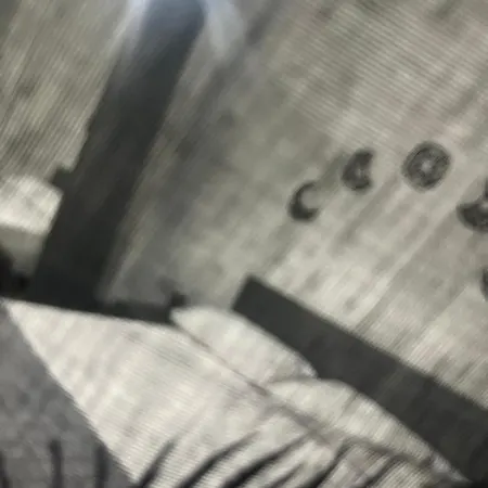 Goodbye Moon Brindisi