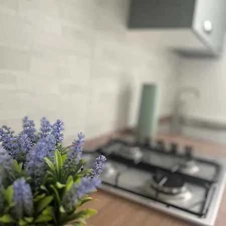 Goodbye Moon Brindisi