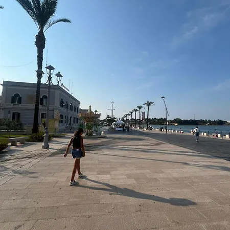 Goodbye Moon Brindisi