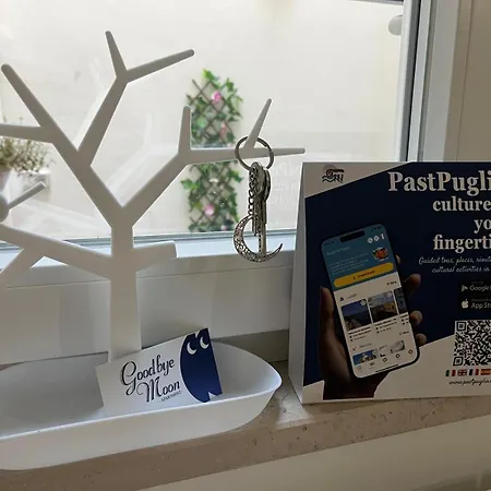 Apartman Goodbye Moon