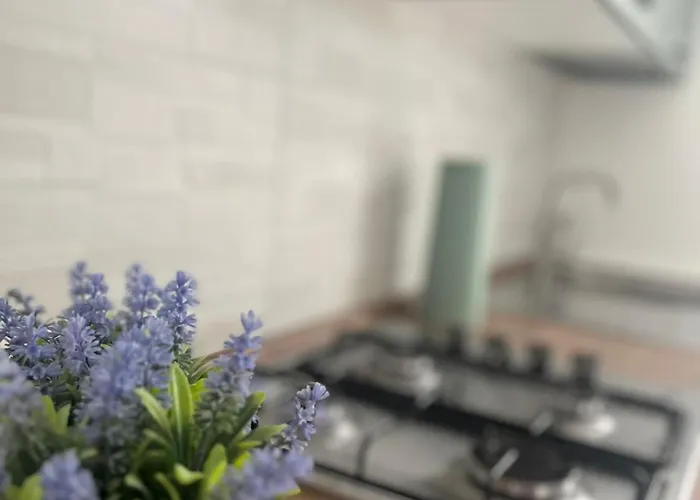 Goodbye Moon Brindisi