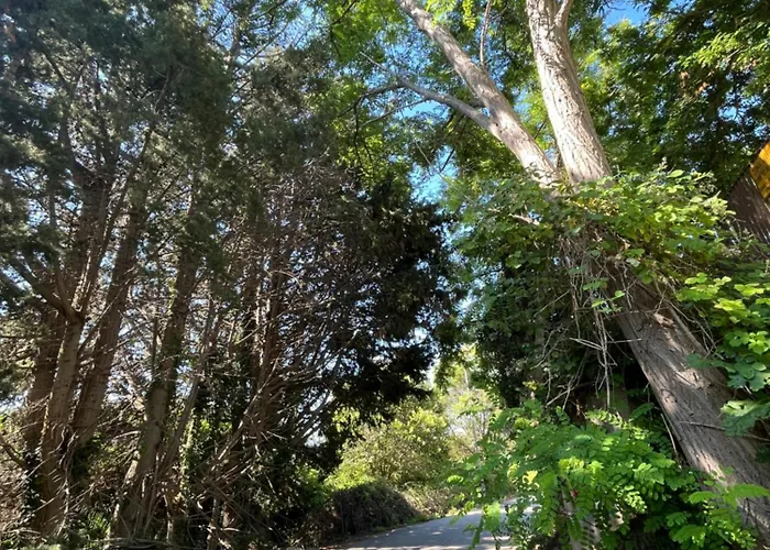 Goodbye Moon アパート ブリンディジ